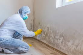 Best Attic Mold Removal  in Licking, MO