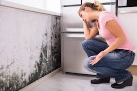 Best HVAC Mold Inspection and Cleaning  in Licking, MO